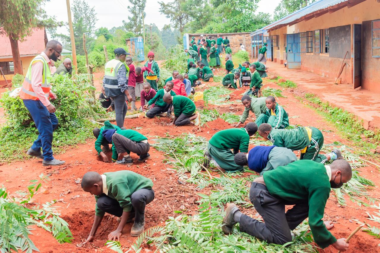 Orchard initiative in Kangema to enhance learners’ nutrition